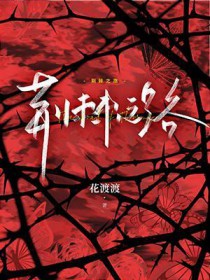 荆棘之路分集介绍